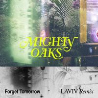 Mighty Oaks - Forget Tomorrow (LAVIV Remix)