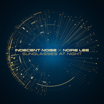 Indecent Noise x Noire Lee - Sunglasses at Night