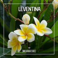 Leventina - Ghana