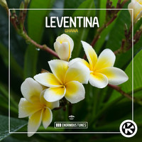 Leventina - Ghana
