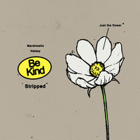 Marshmello, Halsey - Be Kind (Stripped)