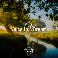 MLDJ - Voice in a Dream