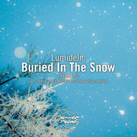 Lumidelic - Buried in the Snow (Remixes)