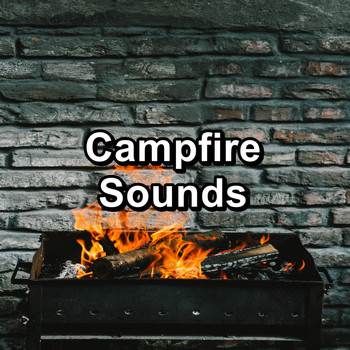 Nature Sounds - Campfire Sounds