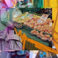 Samurai Breaks - Marathon