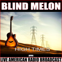 Blind Melon - High Times (Live)