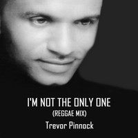 Trevor Pinnock - I'm Not the Only One (Reggae Mix)