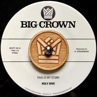 Holy Hive - This Is My Story