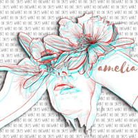 Amelia - What No One Says