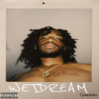 Sakari - Wetdream (Explicit)
