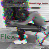 Flex - Feel My Pain (Explicit)