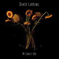 David Larring - My Lovely You