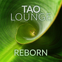 Tao Lounge - Reborn