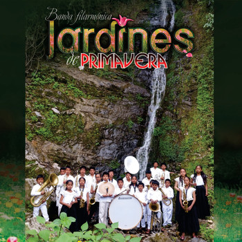Banda Filarmónica Jardines De Primavera - San Pedro Ocotepec Mixe Oaxaca