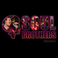 Soul Brothers - Organics