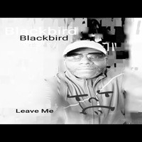 Blackbird - Leave Me