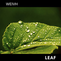 Weivh / - Leaf