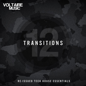 Various Artists - Transition Issue 12