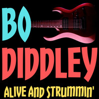 Bo Diddley - Alive and Strummin'