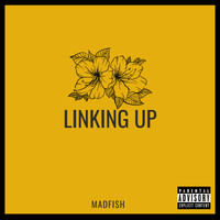 Madfish - Linking Up (Explicit)