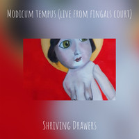 Shriving Drawers - Modicum tempus (live from fingals court)