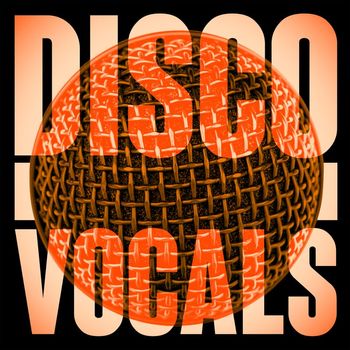 Various Artists - Disco Vocals: Soulful Dancefloor Cuts Featuring 23 Of The Best Grooves