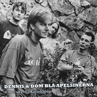 Dennis & dom blå apelsinerna - Du Ska
