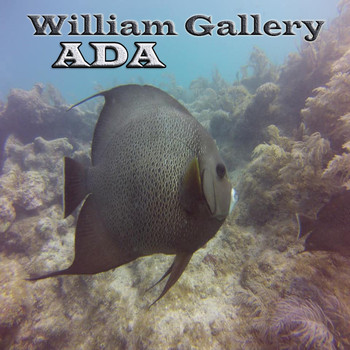 William Gallery - Ada