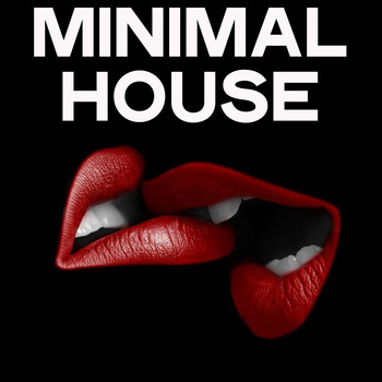 Various Artists - Minimal House (My Bag Minimal House & Techno)