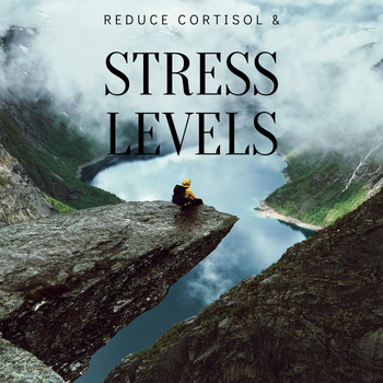 Meditation Music Zone - Reduce Cortisol & Stress Levels: Brings Positive Transformation, Solfeggio Sleep Music