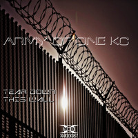 Army of One KC - Tear Down This Wall