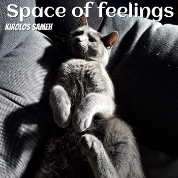 Kirolos Sameh - Space of Feelings