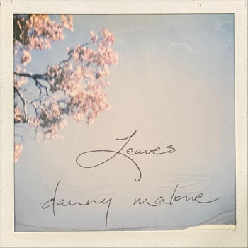 Danny Malone - Leaves