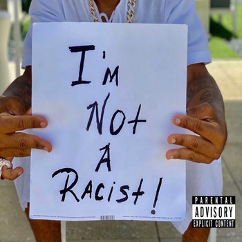 Plies - I'm Not a Racist (Explicit)