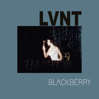 Lvnt - Blackberry