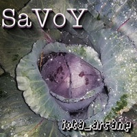 Iota Arcane - Savoy