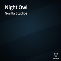 Gorilla Studios - Night Owl