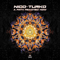 Nico - A Path Reach Now