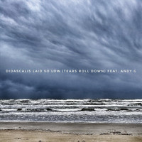 Didascalis - Laid so Low (Tears Roll Down) [feat. Andrea Guerrini]