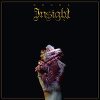 Insight - Neura