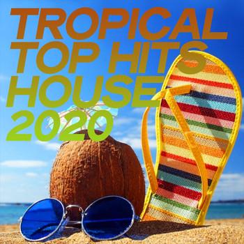 Various Artists - Tropical Top Hits House 2020