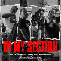 Mozzy & Celly Ru - In My Section (feat. Saviii 3rd & $tupid Young) (Explicit)