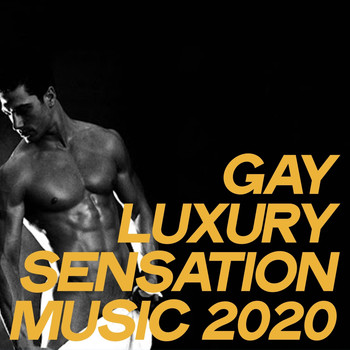 Various Artists - Gay Luxury Sensation Music 2020 (Relax Lounge Music Sensation 2020)