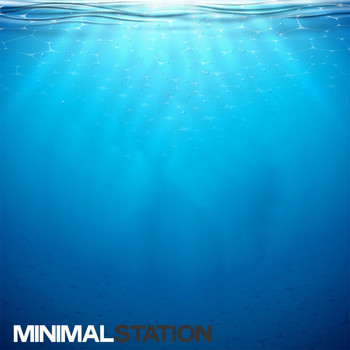 Various Artists - Minimal Station (The Selection Minimal House Top 2020)