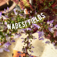 Nadesi / - Fields