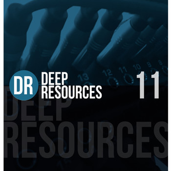 Various Artists - Deep Resources, Vol. 11