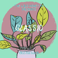 Glassio - The Wild Honey Pie Buzzsession
