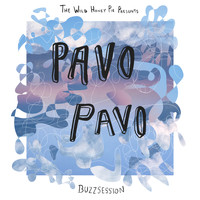 Pavo Pavo - The Wild Honey Pie Buzzsession