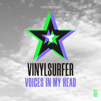 Vinylsurfer - Voices in My Head