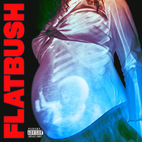Flatbush Zombies - Afterlife (Explicit)